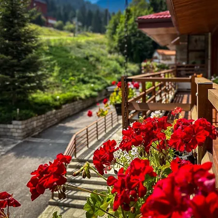 Musala Hotel