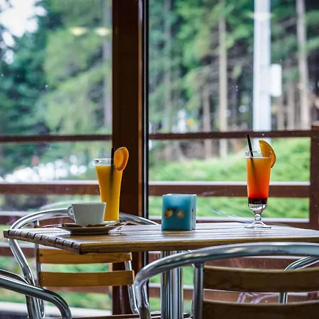 Hotel Musala Borovets