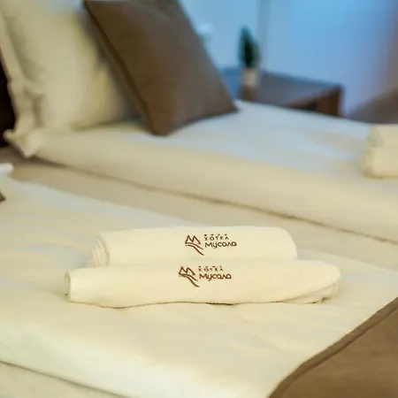 Musala Hotel 4*