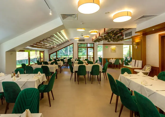 Hotel Musala Borowec