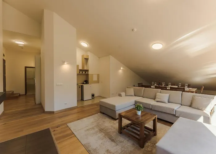 Musala Hotel Borowec